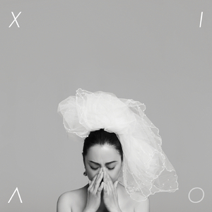 图形配音小鲤导航
