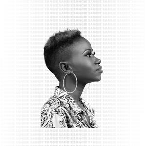 图形配音小鲤导航
